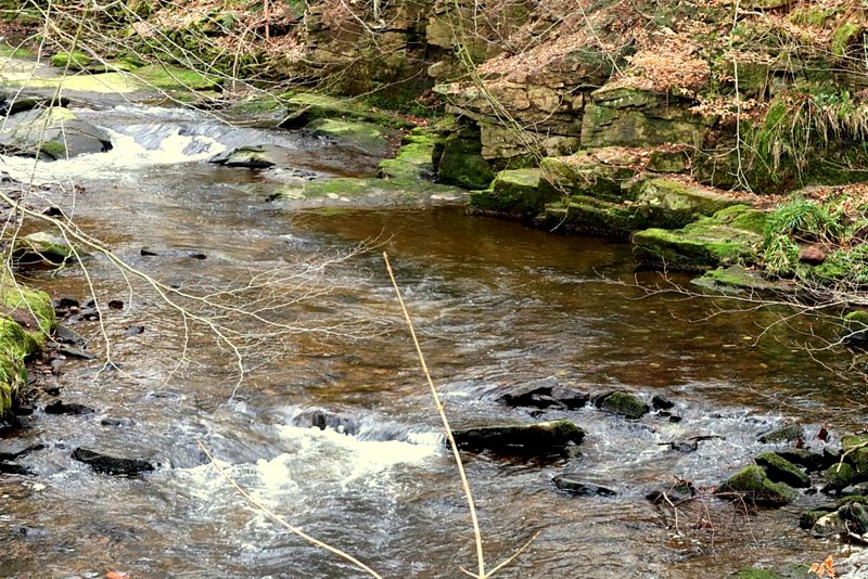 Clough Brook
