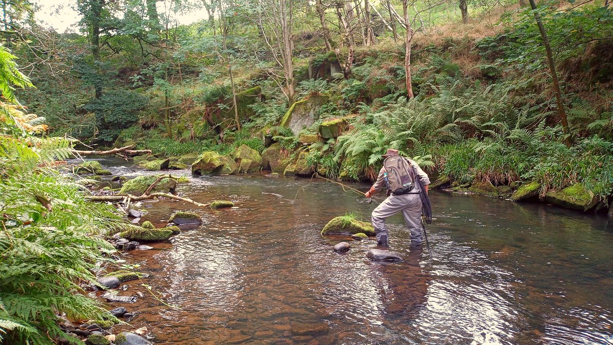 Back Dane just upstream of Watersmeet