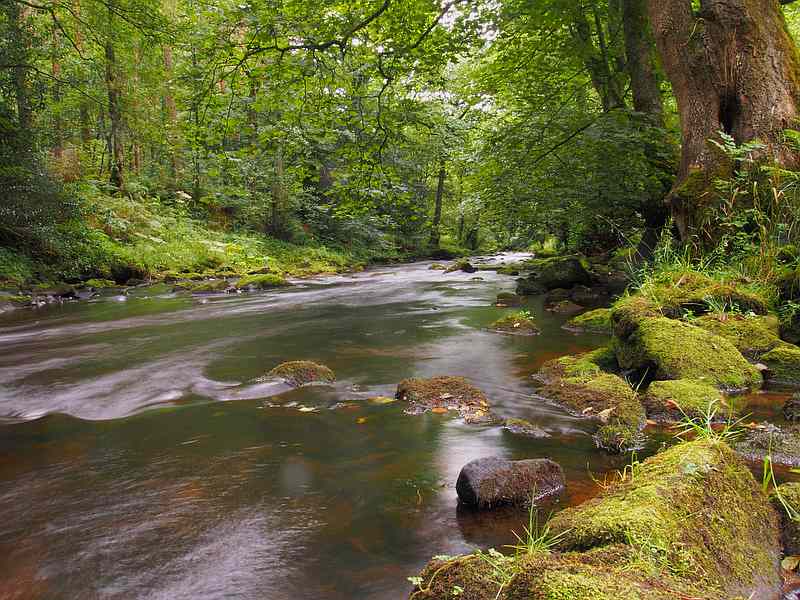 Bartomley Bottoms