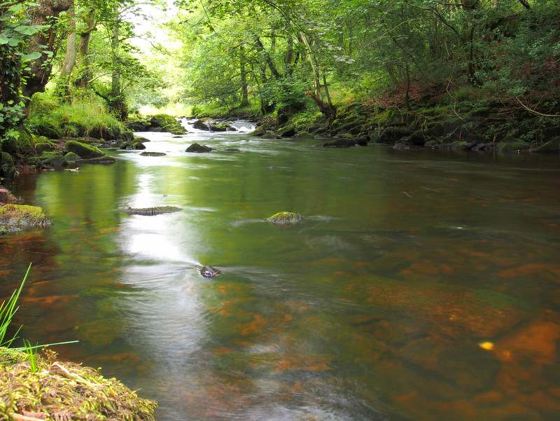 Bartomley Bottoms